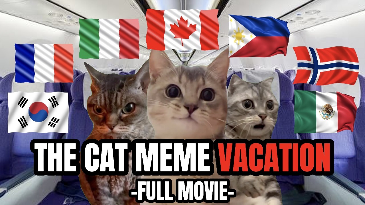 Cat MEMES: CAT MEME VACATION FULL MOVIE!!!
