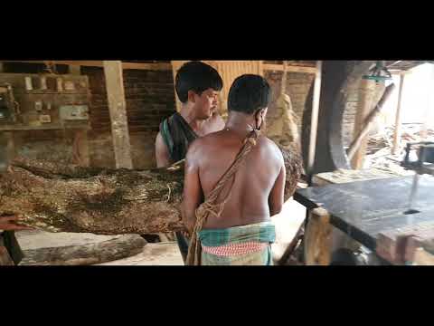 Tough & Dangerous Cutting Mahogany Wood at Sawmill Bangladesh।Skilled Work For Cutting Wood BD