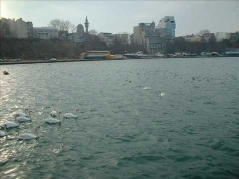 Mihaela Runceanu - Ce mai faci, iubirea mea? (1986)