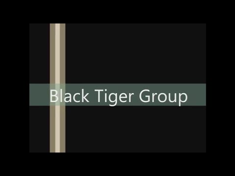 Introduction to the Black Tiger Group