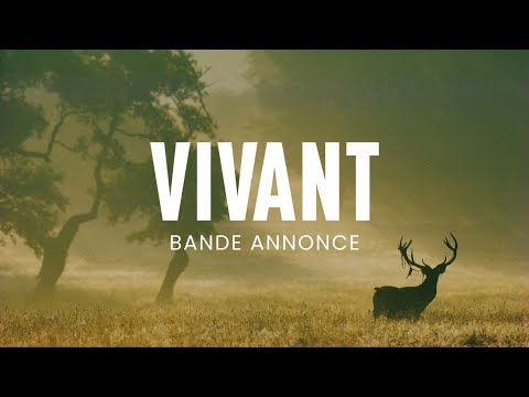 Bande annonce