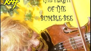 "THE FLIGHT OF THE BUMBLE-BEE"-GREAT KAT Juilliard Grad Violin Virtuoso SHREDS on Guitar AND Violin