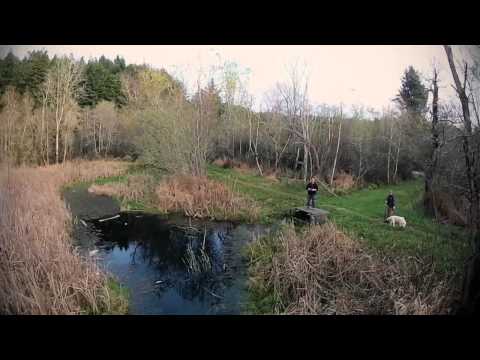 Aerial Video - Aldergrove Park - Arcata, Ca XP2 from XPro Heli