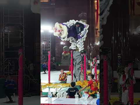 Fall and Rise - Lion Dance