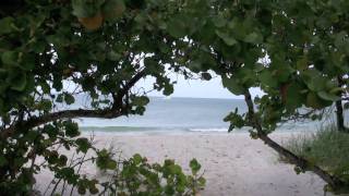preview picture of video 'Naples Beaches, Florida'