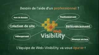 preview picture of video 'Comment fonctionne le DNS d'un nom de domaine par web visibility sprl.'