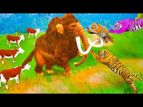 Woolly Mammoth Fight with 3 Zombie Tigers to Rescue Save Cow Cartoon from Tiger Attack