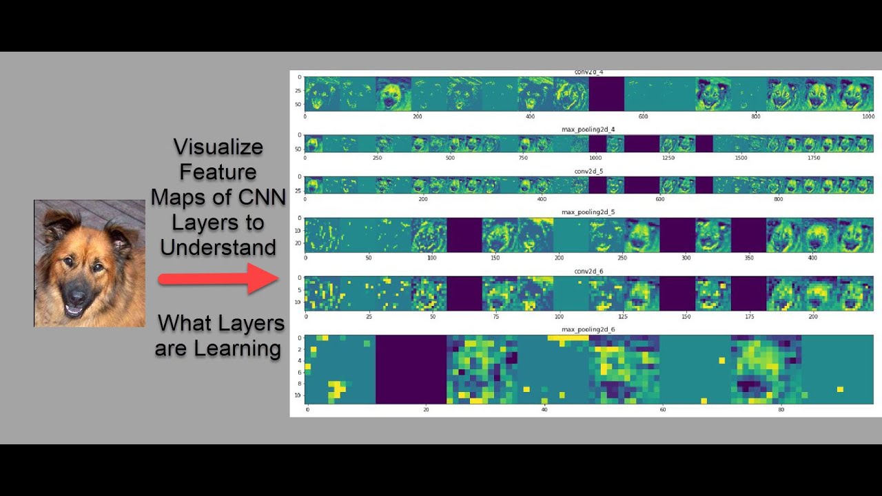 Visualizing CNN feature maps across convolutional and pooling layers to understand learned features