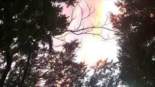 worm in your ear martin bramah jon langford