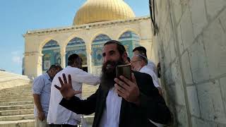 הגיע הזמן לבנות את בית המקדש? קבלנו תשובה בנבואה! | הרב אלישע וולפסון  (ישיבת הר הבית) - התמונה מוצגת ישירות מתוך אתר האינטרנט יוטיוב. זכויות היוצרים בתמונה שייכות ליוצרה. קישור קרדיט למקור התוכן נמצא בתוך דף הסרטון