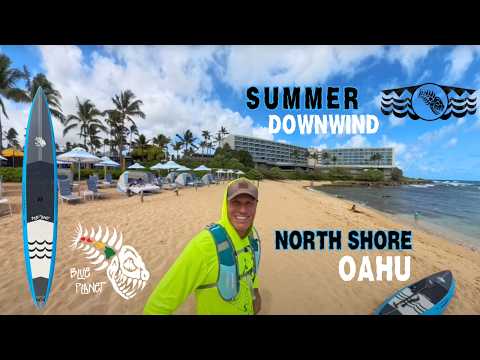Downwind SUP racing is not dead! Turtle Bay to Mokuleia training for the M2O race & takeaways