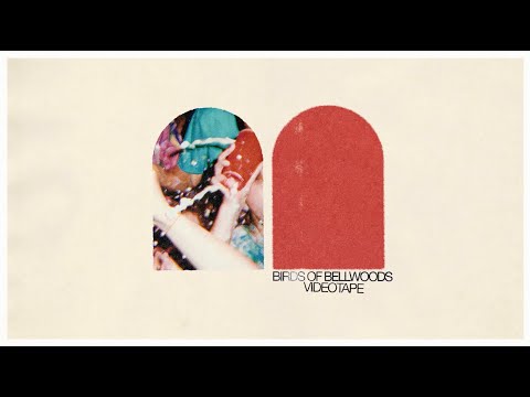 Birds of Bellwoods - Videotape [Audio Visualizer]