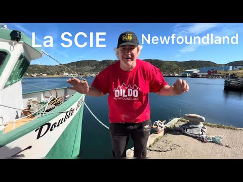 Traditional Newfoundland Cornfish Cakes. 