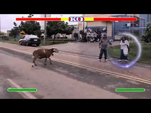 MAD BODE STREET FIGHTER VERSION with special effects