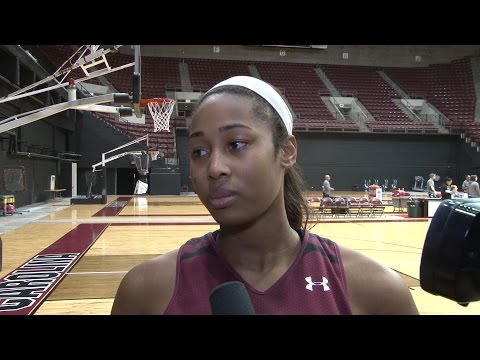 Alaina Coates Media Availability - 1/4/17