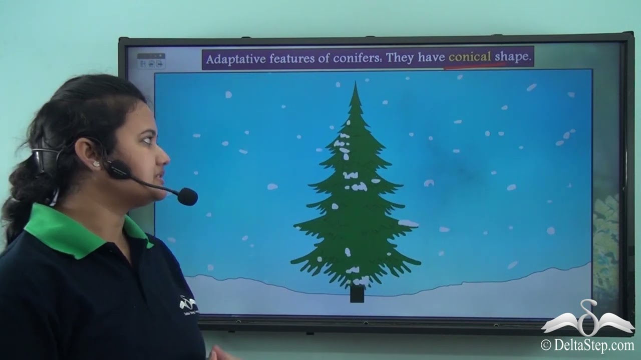 Taiga Region_Vegetation and Human Adaptation