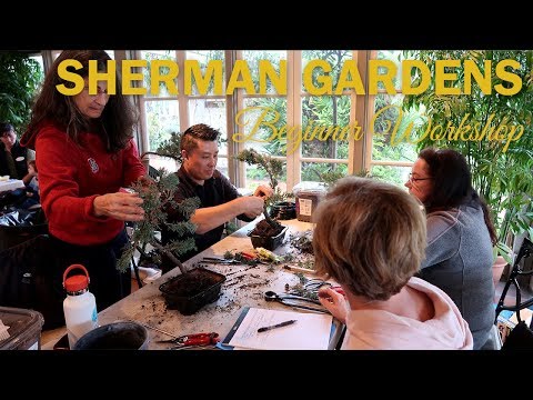 Bonsai Beginner's Workshop : A Day at the Sherman Library and Gardens