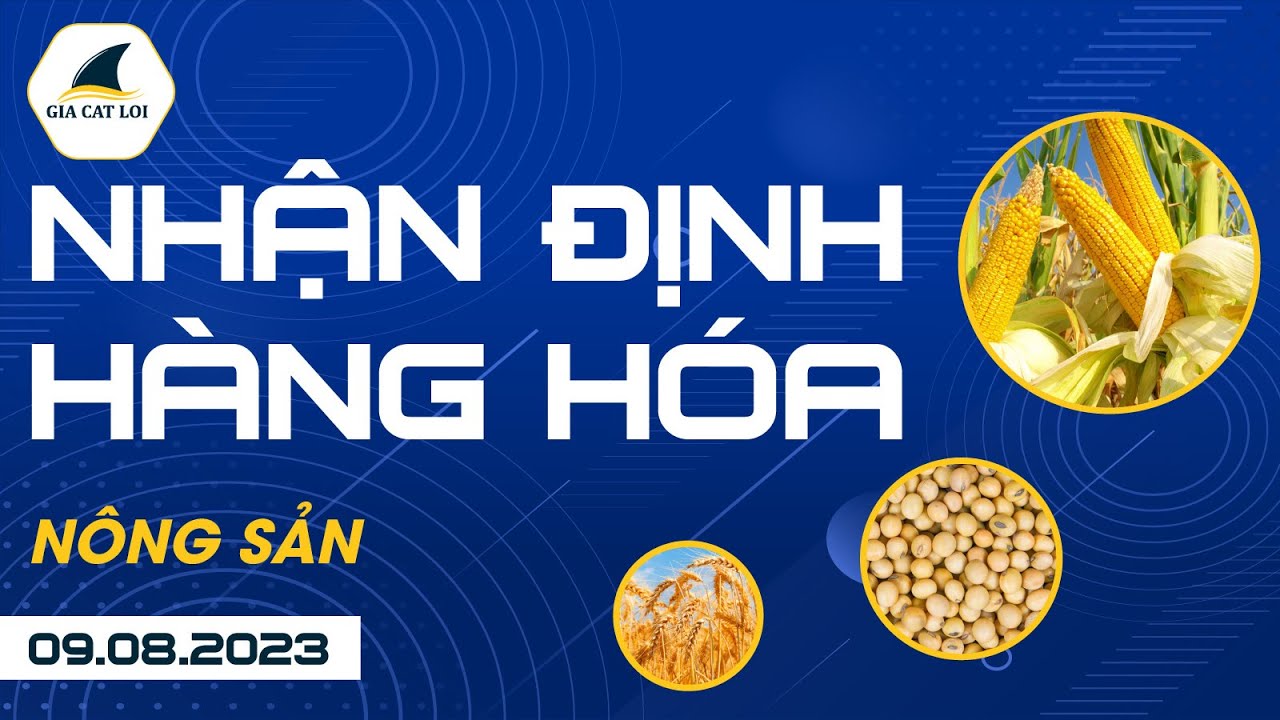 Nhận Định Hàng Hoá Nông Sản Ngày 09/08/2023