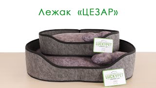 Lucky Pet (Лаки Пет) Цезар - Лежак для собак и кошек, войлок (серый)