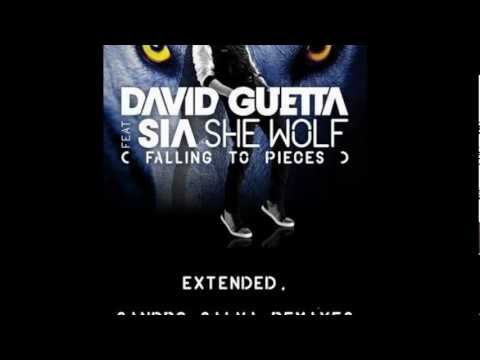 Epic she wolf - David Guetta vs Sandro Silva & Quintino ( Alex Ka bootleg)