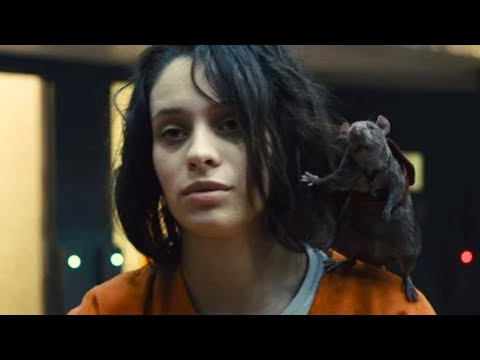 Das Ende Von The Suicide Squad Erklärt