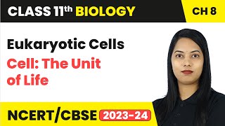 Eukaryotic Cells - Cell: The Unit of Life | Class 11 Biology Chapter 8 | CBSE 2024-25
