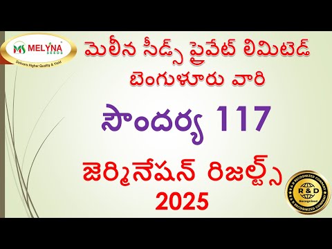 MELYNA SOUNDARYA 117