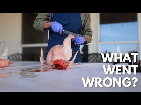 THIS DIDN'T GO AS PLANNED | Meat Chicken Harvest Day
