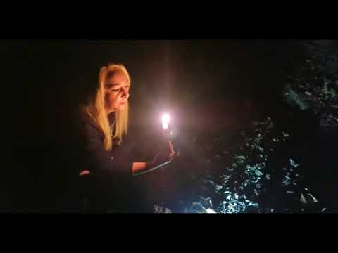 Candle Divination With Levitt Hagg