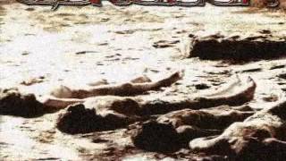 Eisregen - Feindbild Mensch (Vocal Cover)