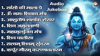 #Video भक्ति भजन - आशुतोष शशाँक शेखर, कर्पूर गौरम करुणावतारं, ॐ नमः शिवाय,  शिव अमृतवाणी व शिव आरती