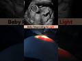 Baby Responding to Light in the Womb 🥰  #pregnancy #fetus #share