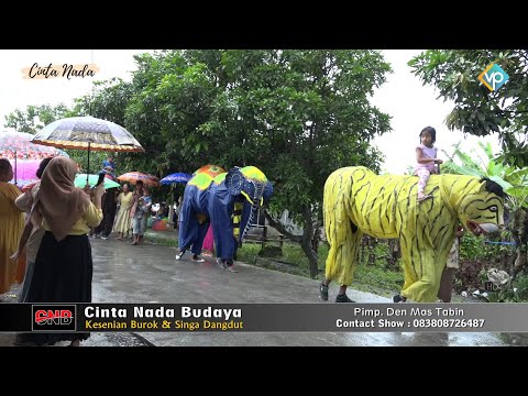 BARENG SENENGE ~ TAINI CANTIKA ~ BUROK DANGDUT CINTA NADA BUDAYA SHOW SEMBUNG - PAMULIHAN 20/02/2023