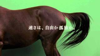 Re: [馬娘] 黃金旅程