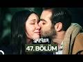 Sahipsizler 47 Bölüm