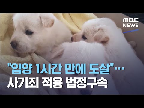 아이콘