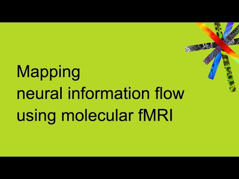 Mapping neural information flow using molecular fMRI