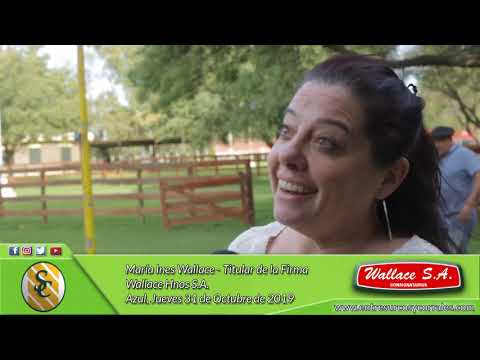 31-10-19 - María Ines Wallace -Titular de la Consignataria - Wallace Hnos. S.A. - Azul