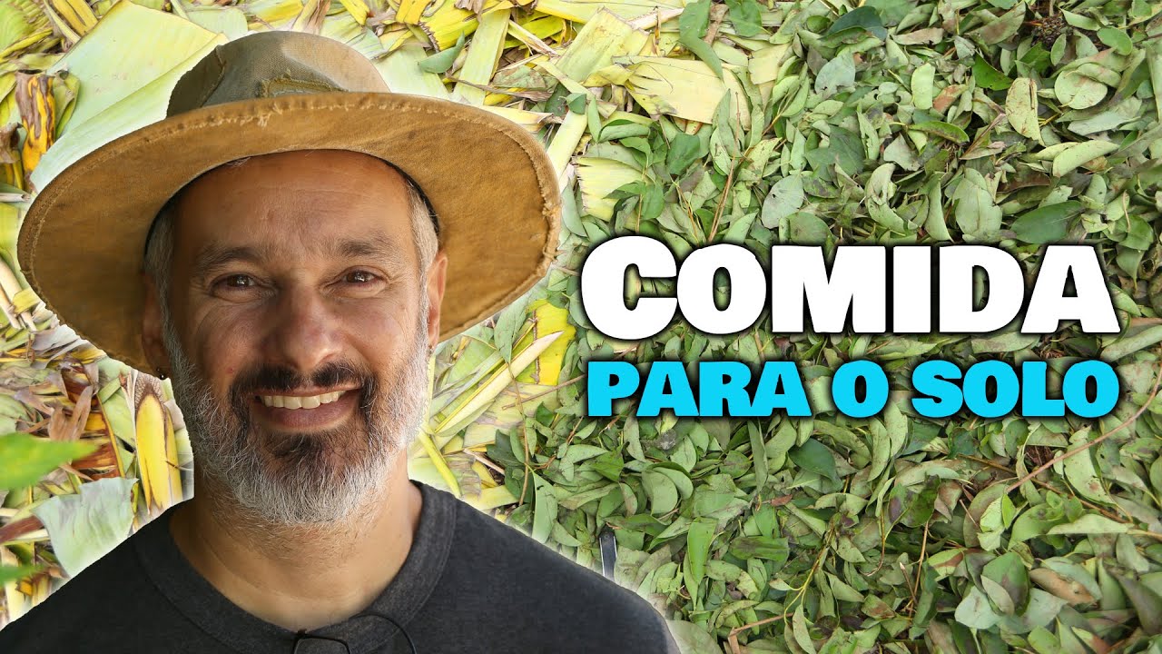 Cobertura de solo, que materiais usar e como organizar na horta orgânica.