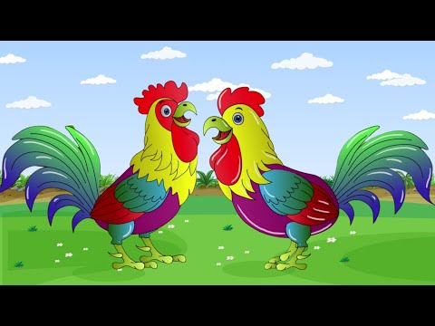 Kuku Kukuruyuk begitulah bunyinya (Ayam Jantan Namanya) Lagu Anak Indonesia Populer