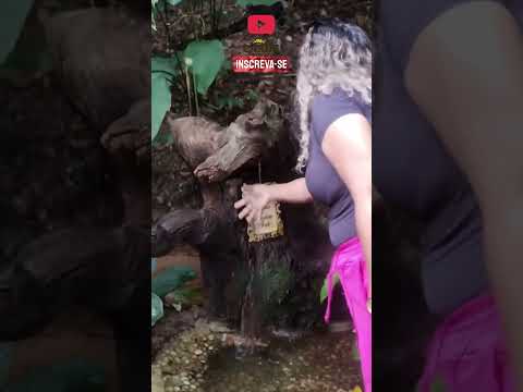 FONTE DO AMOR-  #cariri #shorts #barbalha #nordeste #natureza #fontedeagua #nordeste #fe