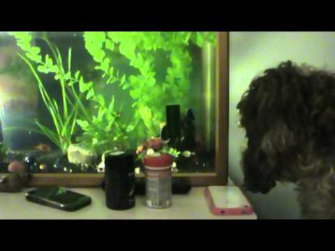 Happy Birthday Maiju!