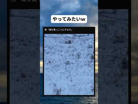 やってみたいｗ