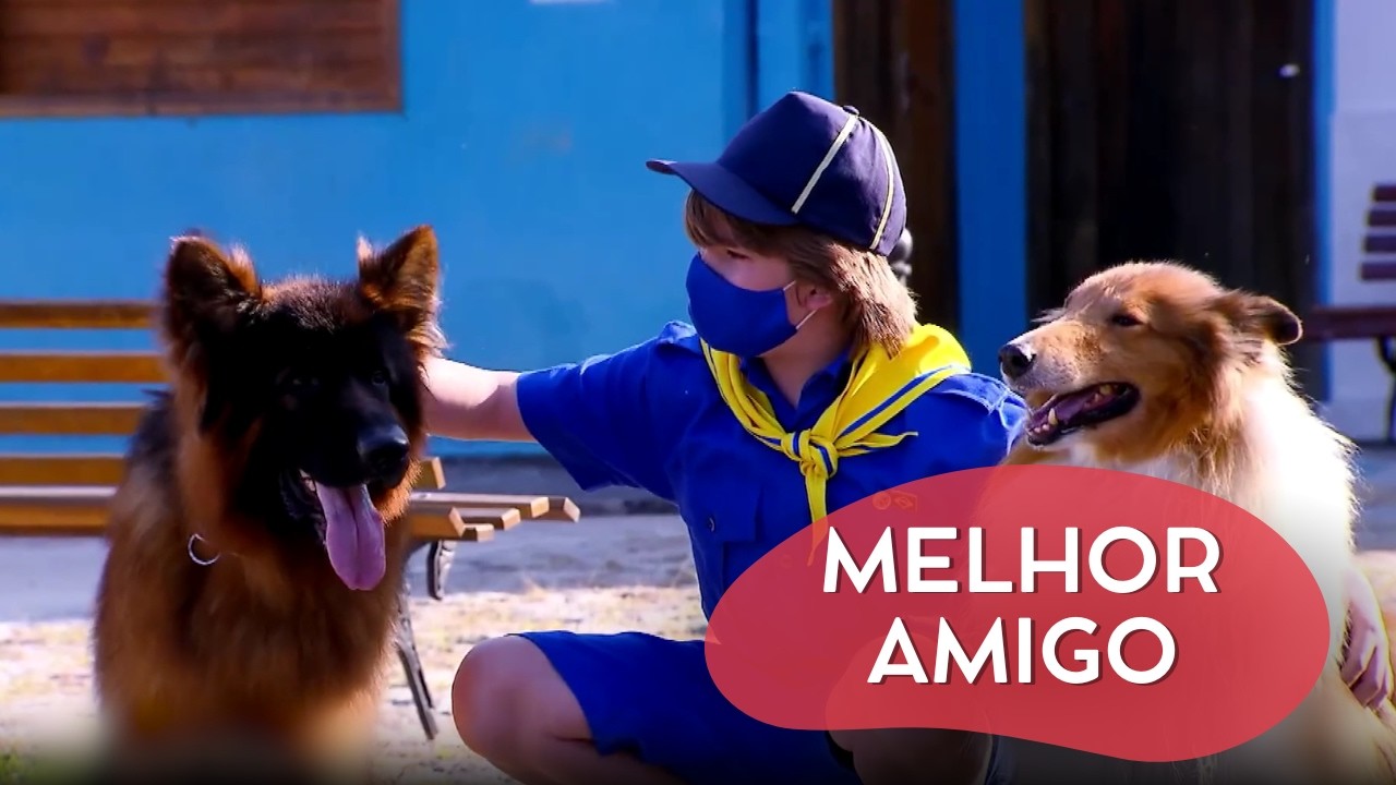 ESSE CACHORRO TÁ MELHOR QUE OS POLICIAIS | CÂMERAS ESCONDIDAS
