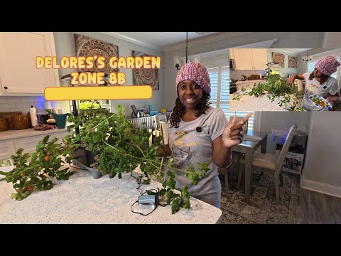 01/16 Starting Seeds in my Growell Hydroponic System!  - #indoorgardening #hydroponics