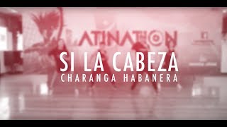 Si la cabeza   -  Latination