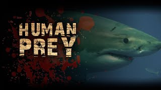 Human Prey - Killer Sharks #animals #wildlife #animalattacks