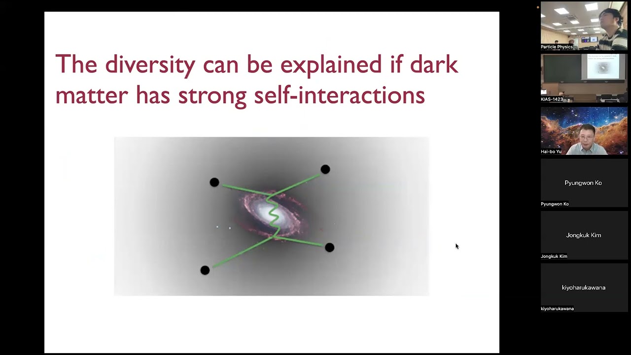 Signatures of Strong Dark Matter Self-Interactions (Haibo Yu)