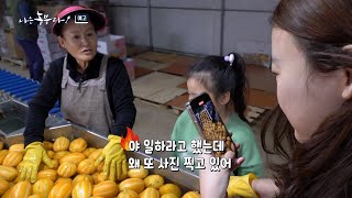 [나는농부다 291회 예고] 귀농 대환장의 서막, 막내딸이 돌아왔다!