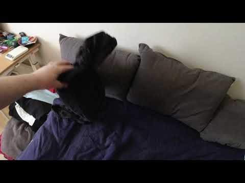 MongoTV_6236 - Kigger På Flyttekasser i Forstue Stået 7 År - Del 119 - Stuegulv Ryddet